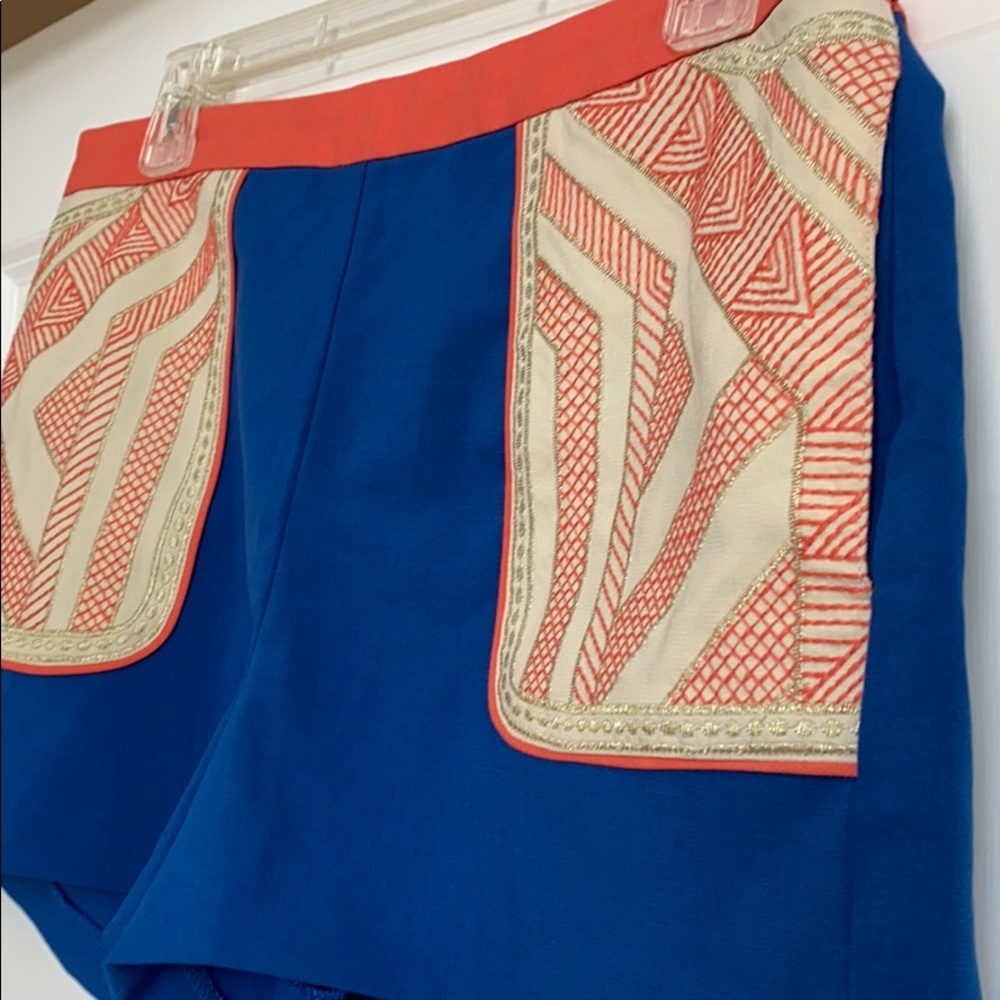 Embroidered Shorts - Picture 2 of 4